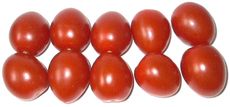 Tomaten-10B.jpg